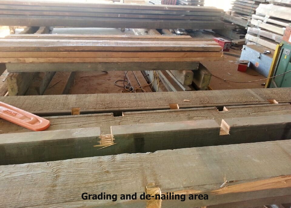 Ironwood Timber Australia Forest Matters